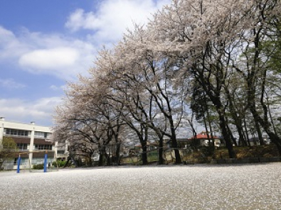 2024年度　神戸市内の私立学校　教員募集　複数教科で募集中