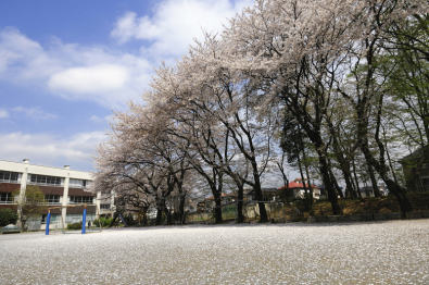 急募！　養護　常勤講師　北摂エリア　大募集！！