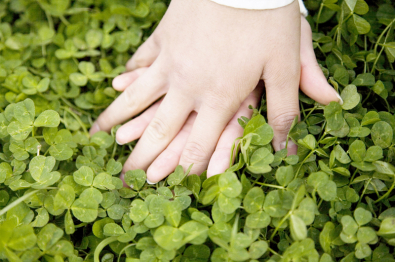 【保健体育科】2026年度　非常勤講師　通信制高校　堺市