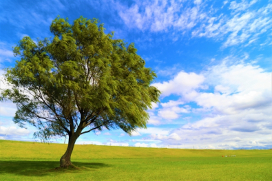 【2026年度】北摂エリア通信制高校｜国語・数学｜生徒の個性を伸ばす常勤講師　募集